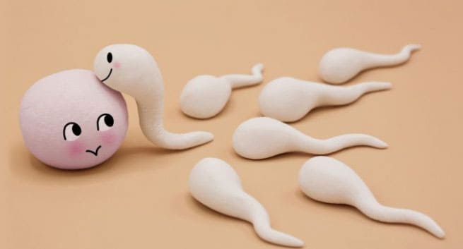 Nevaisingumo gydymas: ką svarbu apie tai žinoti?
