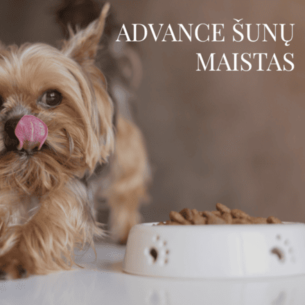 Advance sausas šunų maistas 5 Advance sausas šunų maistas