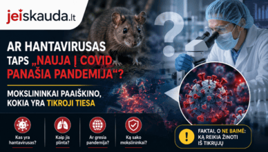 Mokslininkas tiria virusus laboratorijoje, susijusius su hantavirusu ir COVID, aptariant jų pavojų ir tikrąją grėsmę pandemijai, siekiant informuoti apie sveikatą ir prevenciją.