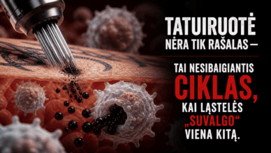 Detali medicininė iliustracija, kurioje matyti odos tatuiruotės procesas ir imuninės ląstelės, svarbios odos sveikatai ir gijimui.