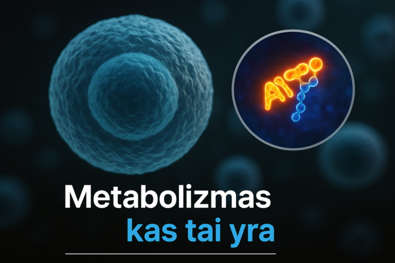 Metabolizmas - kas tai yra 8 Metabolizmas – kas tai yra