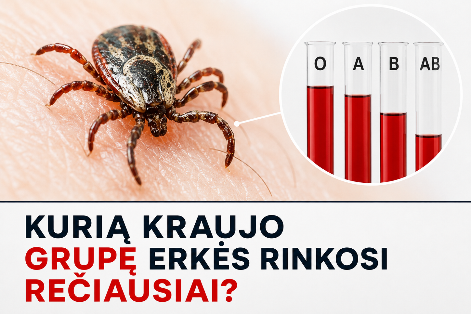 Kurią kraujo grupę erkės renkasi rečiausiai